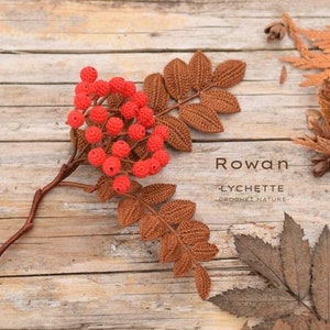 Crochet Rowan Mountain Ash, crochet pattern for Rowan, Mountain Ash, Sorbus image 1