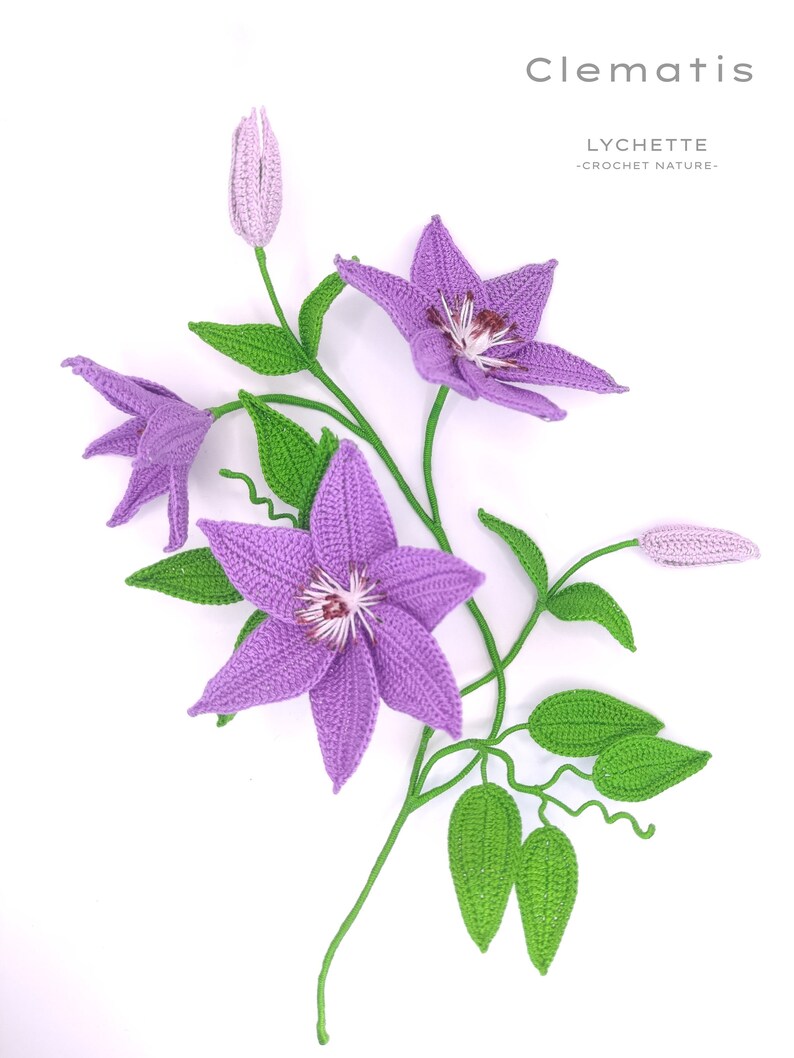 Puede incluir: Un ramo de flores de clematis de ganchillo con flores moradas y hojas verdes. El ramo est&aacute; sobre un fondo blanco. El texto "Clematis Lychette -Crochet Nature- " est&aacute; en la parte superior de la imagen.