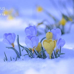 Krokus häkeln - Häkelblumenmuster für Krokus