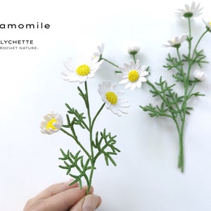 Pu&ograve; includere: Due steli di fiori di camomilla all'uncinetto con petali bianchi e centri gialli. Gli steli sono verdi e hanno piccole foglie. Il testo "Chamomile" e "LYCHETTE -CROCHET NATURE- " &egrave; visibile nell'immagine.