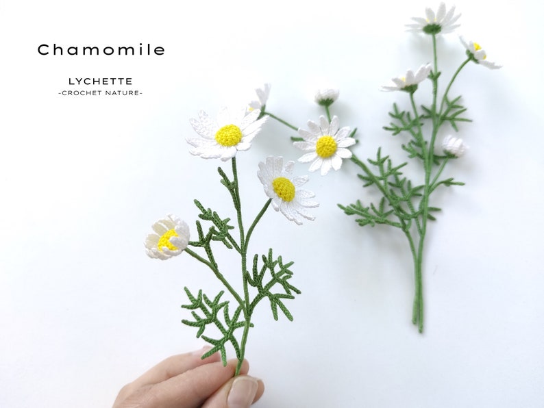 Pu&ograve; includere: Due steli di fiori di camomilla all'uncinetto con petali bianchi e centri gialli. Gli steli sono verdi e hanno piccole foglie. Il testo "Chamomile" e "LYCHETTE -CROCHET NATURE- " &egrave; visibile nell'immagine.