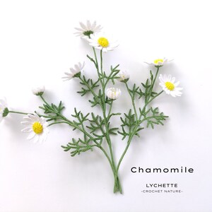 Pu&ograve; includere: Un mazzo di fiori di camomilla all'uncinetto con petali bianchi e centri gialli. I fiori sono disposti su uno sfondo bianco con il testo "Chamomile Lychette -Crochet Nature- ".