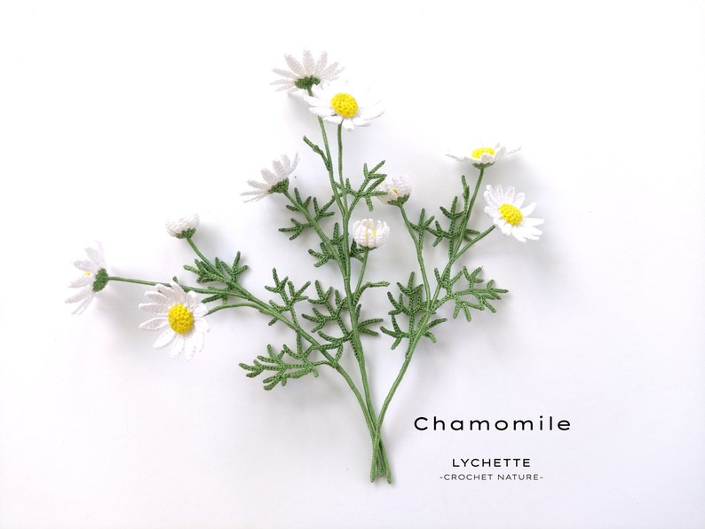 Pu&ograve; includere: Un mazzo di fiori di camomilla all'uncinetto con petali bianchi e centri gialli. I fiori sono disposti su uno sfondo bianco con il testo "Chamomile Lychette -Crochet Nature- ".