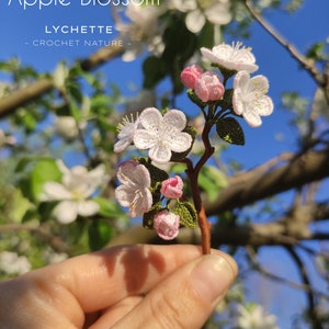 Crochet Apple Blossom Pattern - Crochet Flower Pattern