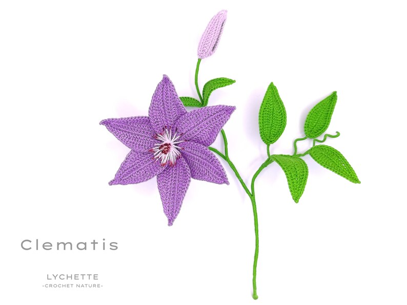 Puede incluir: Una flor de clem&aacute;tide de color p&uacute;rpura hecha a crochet con hojas verdes y un tallo. La flor tiene un centro blanco con acentos rosados. El texto "Clematis" y "LYCHETTE -CROCHET NATURE- " est&aacute; debajo de la flor.