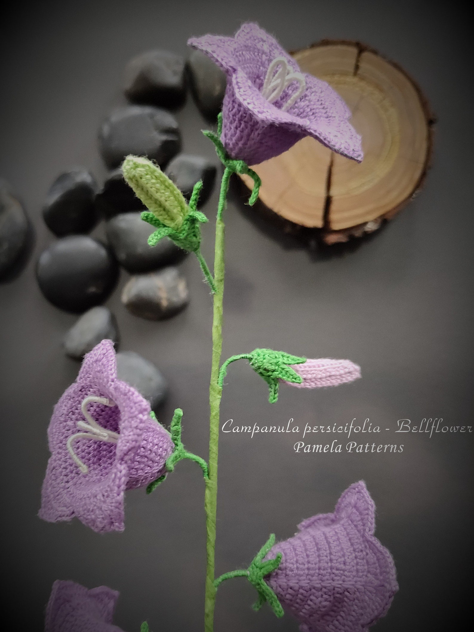 Crochet Campanula persicifolia Bellflower Pattern Crochet Etsy