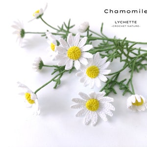 Crochet Flower Pattern for Chamomile Flower (Chamomile, Camomile crochet pattern)