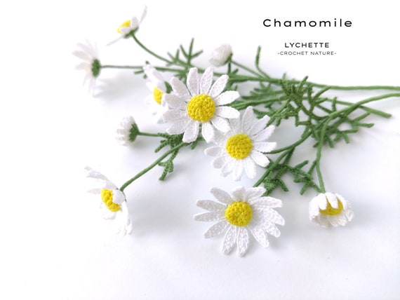 Crochet Flower Pattern for Chamomile Flower (Chamomile, Camomile crochet pattern)