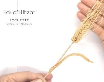 Crochet Ear of wheat Pattern - Crochet Flower Pattern