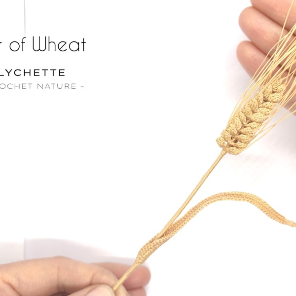 Crochet Ear of wheat Pattern - Crochet Flower Pattern