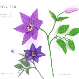 Puede incluir: Flores de clem&aacute;tide tejidas a crochet en tonos de morado y verde. Las flores est&aacute;n hechas con hilo DMC en los colores 80 y 20. La imagen incluye el texto "Clematis", "LYCHETTE -CROCHET NATURE-", "DMC No 80" y "DMC No 20".