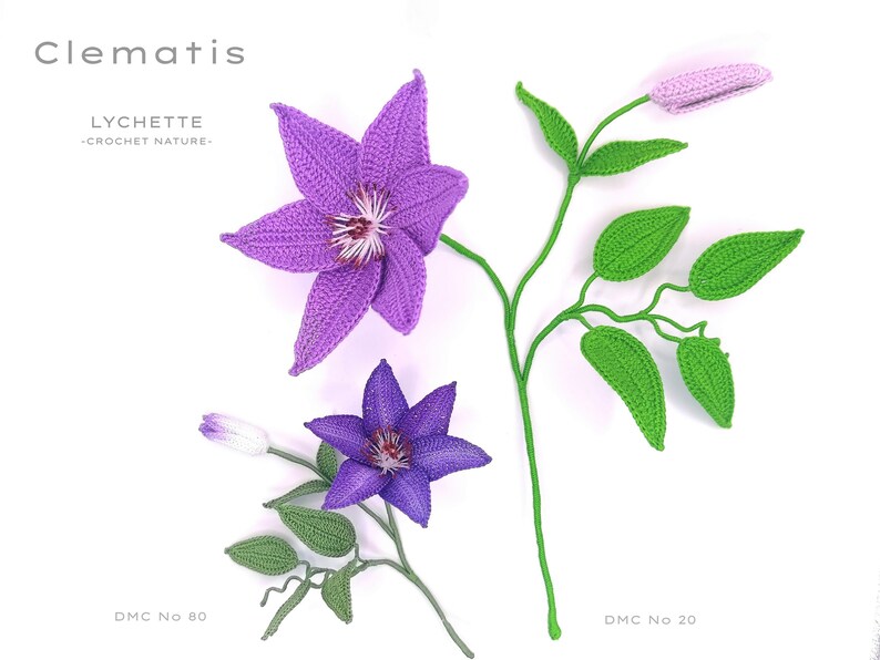 Puede incluir: Flores de clem&aacute;tide tejidas a crochet en tonos de morado y verde. Las flores est&aacute;n hechas con hilo DMC en los colores 80 y 20. La imagen incluye el texto "Clematis", "LYCHETTE -CROCHET NATURE-", "DMC No 80" y "DMC No 20".