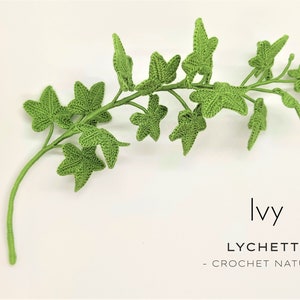 Crochet Ivy Hedera Crochet Pattern image 6