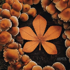 Crochet Fall Leaves, Crochet Chestnut Leaf Pattern - Crochet Pattern