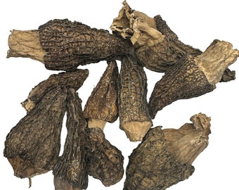 Dried Wild Morel Mushrooms 1 oz