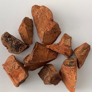 Chaney Root (Cocolmeca) 1 oz Dried