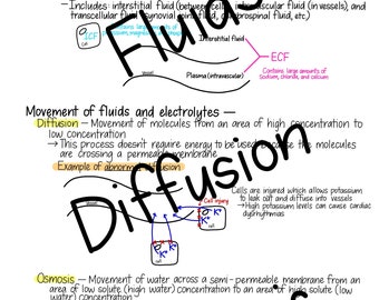Introdução aos Fluidos - Guia de estudo de enfermagem