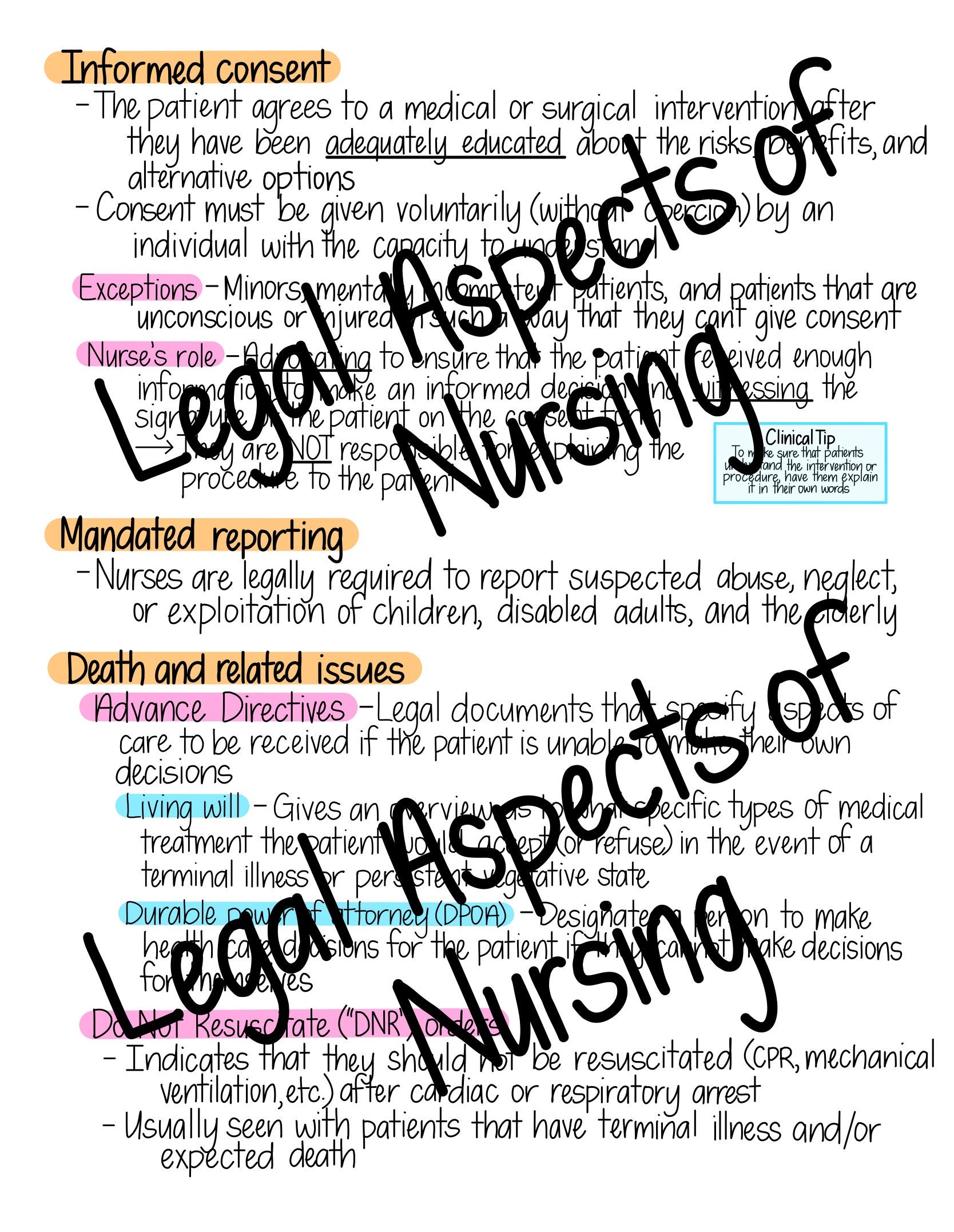 Intro to Nursing Basics fundamentals Study Guide Etsy