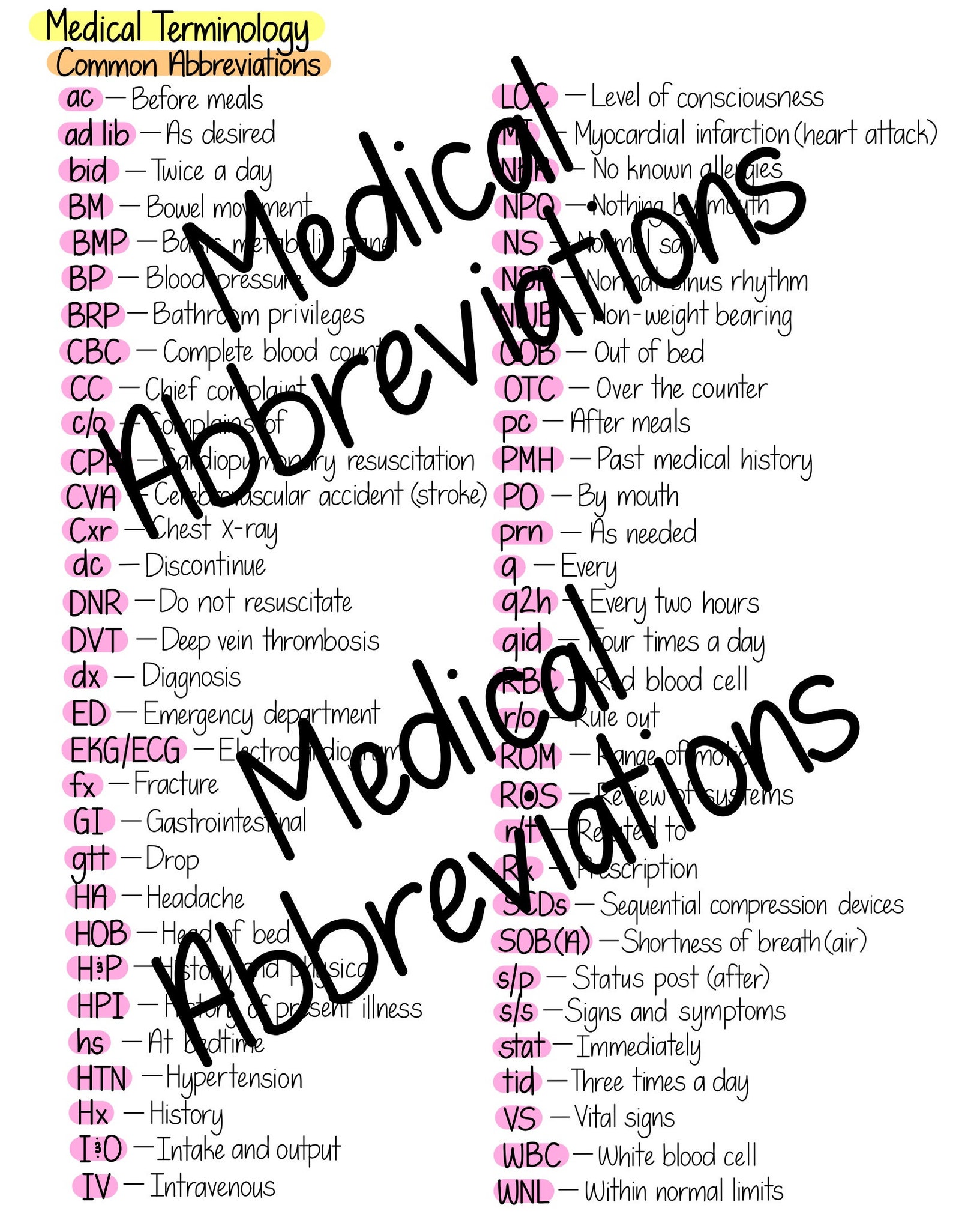 Intro to Nursing Basics Fundamentals Study guide Etsy