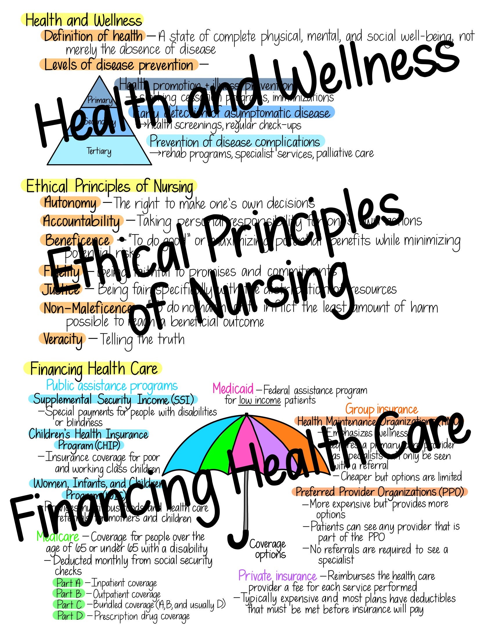 Intro to Nursing Basics fundamentals Study Guide Etsy