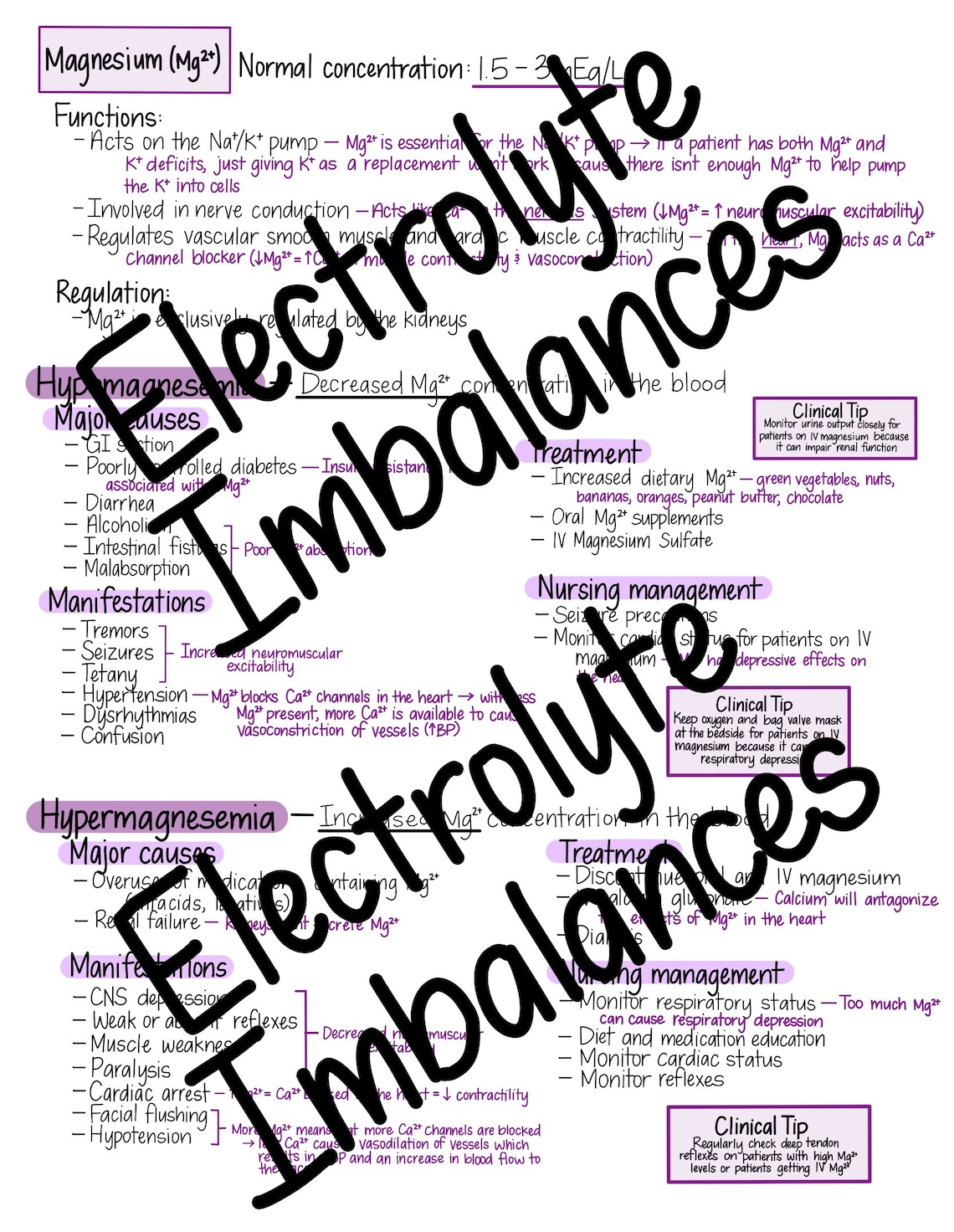 Electrolyte Imbalances - Nursing Study Guide - Etsy