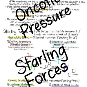 Pode incluir: Um diagrama que ilustra as quatro for&ccedil;as de Starling que regulam o movimento de fluidos e solutos dentro e fora dos vasos sangu&iacute;neos. As for&ccedil;as s&atilde;o a press&atilde;o hidrost&aacute;tica, a press&atilde;o hidrost&aacute;tica intersticial, a press&atilde;o osm&oacute;tica coloidal capilar e a press&atilde;o osm&oacute;tica coloidal intersticial. O diagrama mostra um capilar com setas que indicam a dire&ccedil;&atilde;o do movimento dos fluidos.
