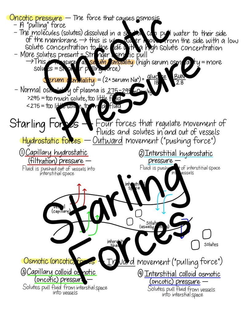 Pode incluir: Um diagrama que ilustra as quatro for&ccedil;as de Starling que regulam o movimento de fluidos e solutos dentro e fora dos vasos sangu&iacute;neos. As for&ccedil;as s&atilde;o a press&atilde;o hidrost&aacute;tica, a press&atilde;o hidrost&aacute;tica intersticial, a press&atilde;o osm&oacute;tica coloidal capilar e a press&atilde;o osm&oacute;tica coloidal intersticial. O diagrama mostra um capilar com setas que indicam a dire&ccedil;&atilde;o do movimento dos fluidos.