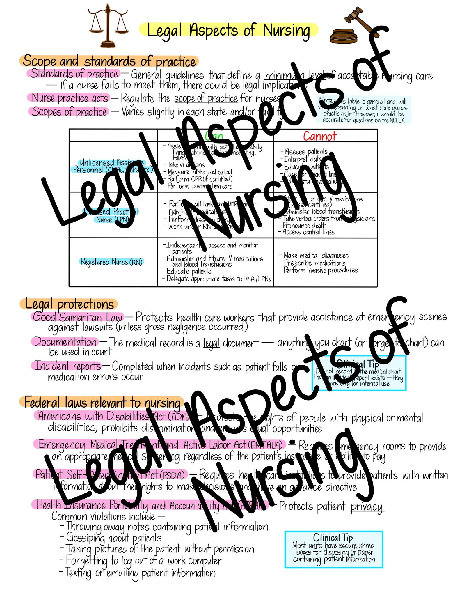 Intro to Nursing Basics fundamentals Study Guide Etsy