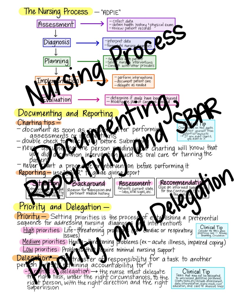 Intro to Nursing Basics Fundamentals Study guide Etsy