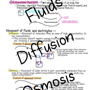 Pode incluir: Um diagrama que explica o movimento de fluidos e eletr&oacute;litos no corpo. O diagrama mostra os dois compartimentos principais do fluido corporal: o fluido intracelular (FIC) e o fluido extracelular (FEC). O diagrama tamb&eacute;m mostra os processos de difus&atilde;o e osmose, que s&atilde;o respons&aacute;veis pelo movimento de fluidos e eletr&oacute;litos entre esses compartimentos.