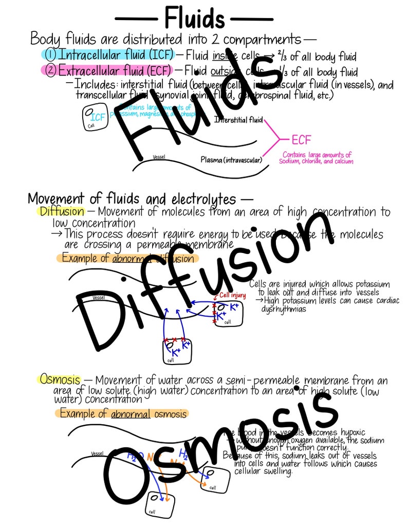 Pode incluir: Um diagrama que explica o movimento de fluidos e eletr&oacute;litos no corpo. O diagrama mostra os dois compartimentos principais do fluido corporal: o fluido intracelular (FIC) e o fluido extracelular (FEC). O diagrama tamb&eacute;m mostra os processos de difus&atilde;o e osmose, que s&atilde;o respons&aacute;veis pelo movimento de fluidos e eletr&oacute;litos entre esses compartimentos.
