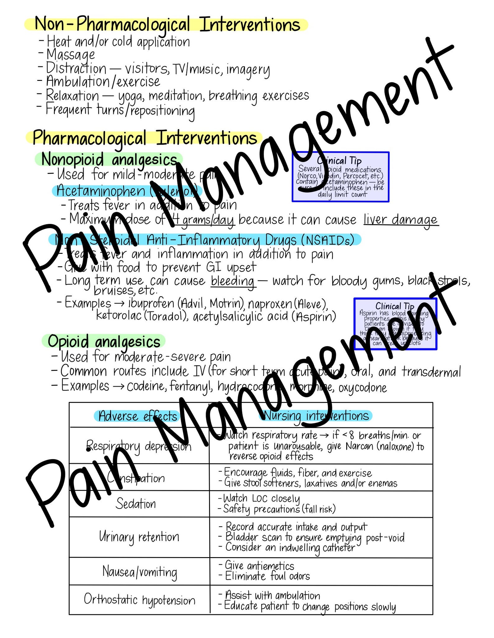 Pain Management Nursing study guide Etsy