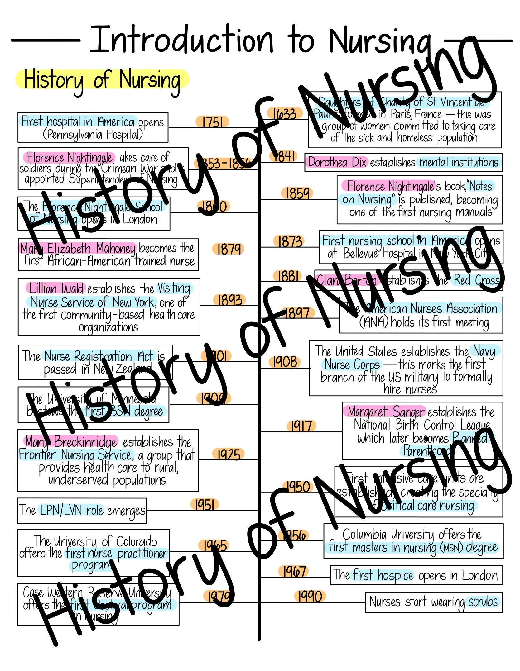 Intro to Nursing Basics fundamentals Study Guide Etsy