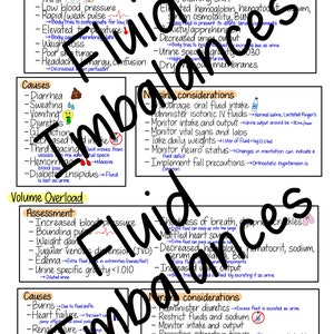Pode incluir: Um gr&aacute;fico colorido com o t&iacute;tulo "Desequil&iacute;brios de Fluidos" e duas se&ccedil;&otilde;es: "D&eacute;ficit de Volume" e "Sobrecarga de Volume". Cada se&ccedil;&atilde;o inclui uma avalia&ccedil;&atilde;o e as causas do desequil&iacute;brio de fluidos, bem como considera&ccedil;&otilde;es de enfermagem. O gr&aacute;fico &eacute; ilustrado com &iacute;cones e diagramas.