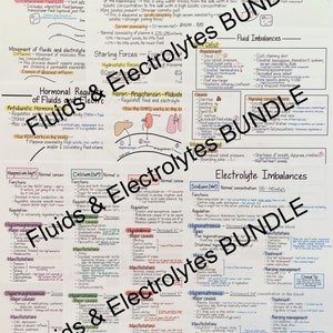 Puede incluir: Un gráfico escrito a mano con el título "Fluidos y Electrolitos" que explica los diferentes tipos de fluidos en el cuerpo, sus funciones y cómo se regulan. El gráfico también incluye información sobre los desequilibrios de electrolitos, incluidas sus causas, síntomas y tratamiento.