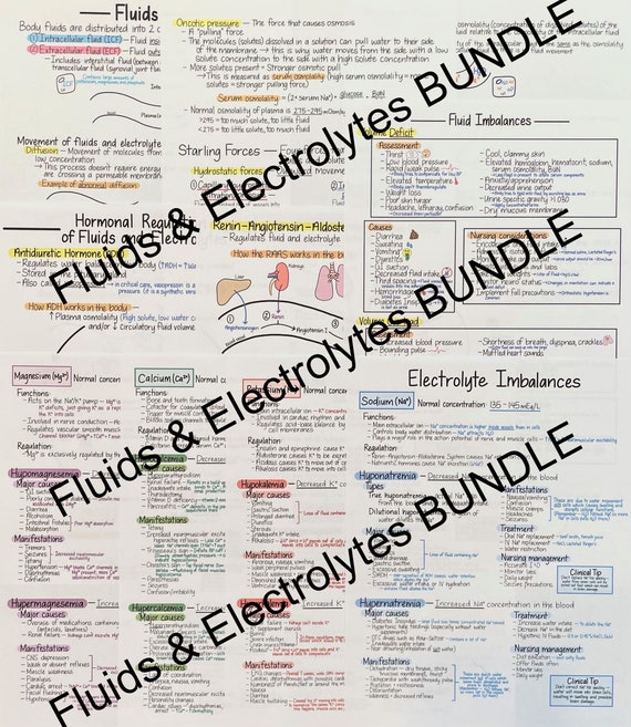 Fluids & Electrolytes Bundle Pack - Nursing study guide