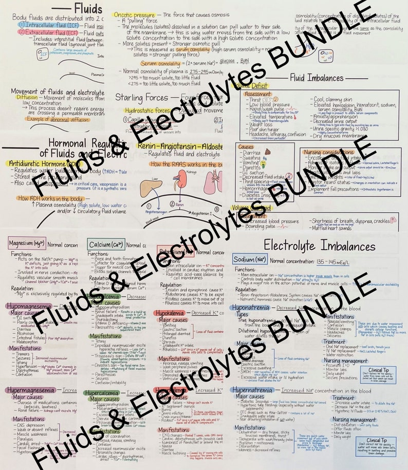 Pode incluir: Um gr&aacute;fico escrito &agrave; m&atilde;o com o t&iacute;tulo "Fluidos e Eletrolitos" que explica os diferentes tipos de fluidos no corpo, suas fun&ccedil;&otilde;es e como s&atilde;o regulados. O gr&aacute;fico tamb&eacute;m inclui informa&ccedil;&otilde;es sobre desequil&iacute;brios de eletr&oacute;litos, incluindo suas causas, sintomas e tratamento.