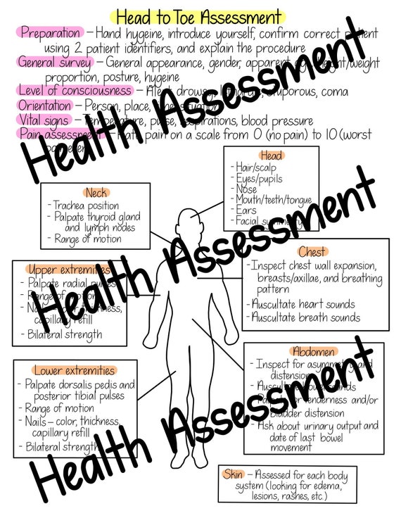 head-to-toe-assessment-checklist-printable-hopconnect