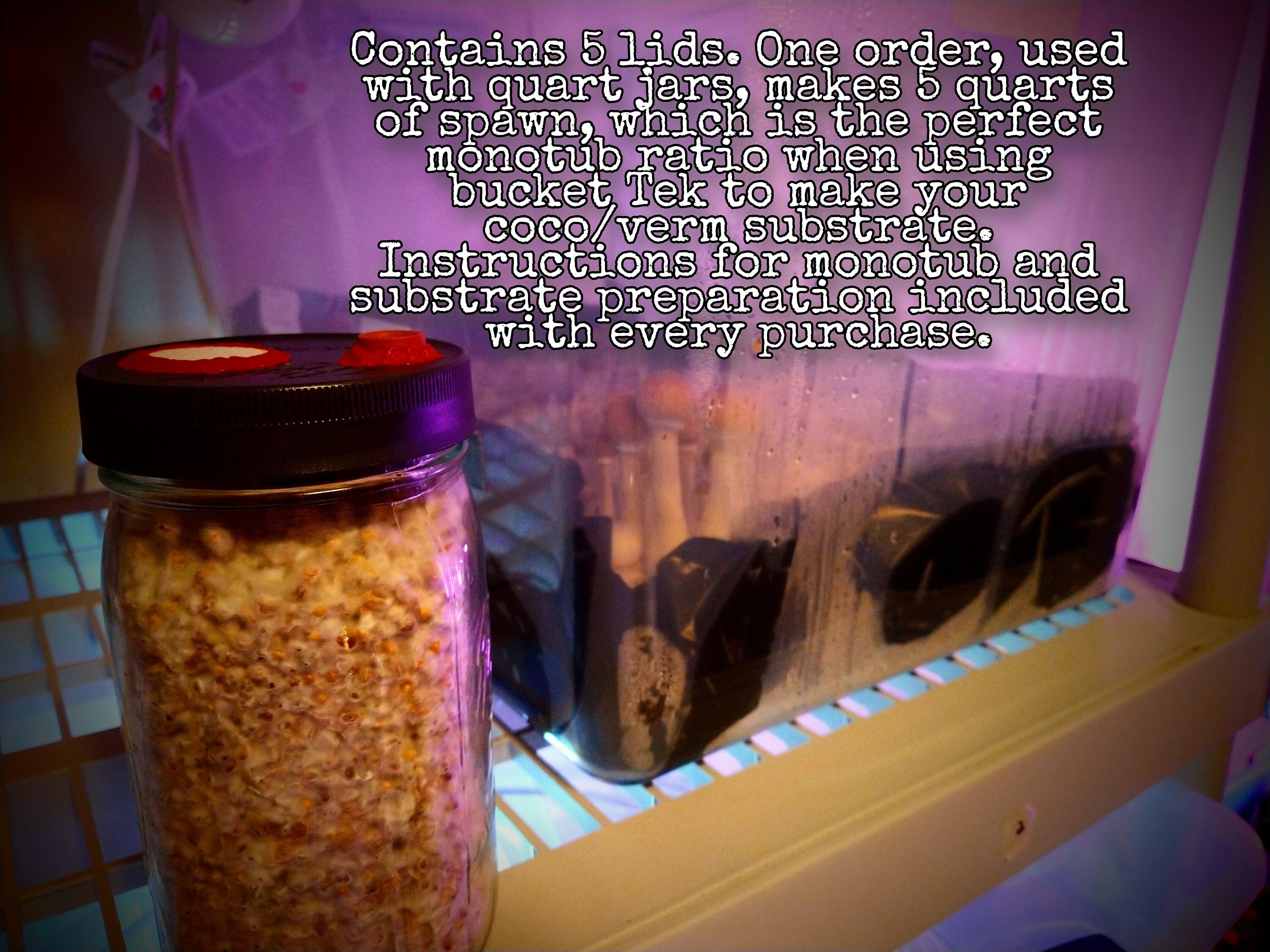 Heavy Duty Mushroom Grain Spawn Jar Tapas para Micología y Etsy