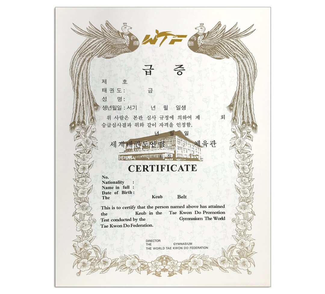 Taekwondo Rank Certificate, WTF Rank TKD Promotion Certificate - Etsy