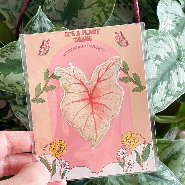 White Queen Caladium Sticker, Houseplant Sticker, Waterproof Sticker, Plant Lover, Caladium