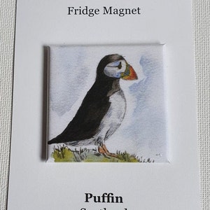 Puffin Fridge Magnet ( from original watercolour Standing Proud )