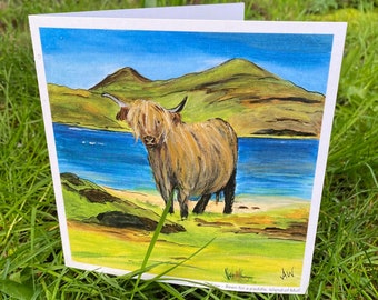 Highland Cow, Been for a paddle, Island of Mull