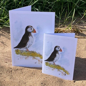 Op de afbeelding: Twee wenskaarten met aquarel illustraties van papegaaiduikers. De kaarten zijn wit met een blauwe lucht en groene gras achtergrond. De papegaaiduikers zijn zwart en wit met oranje snavels.