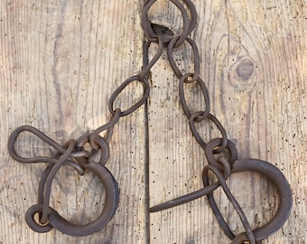 Antique Forged Iron Animal Shackles: 19th Century Farm Decor