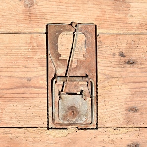 Vintage Rat Trap, Vintage Mouse Trap, Animal Catcher, Hunting Decor, Wire Mouse Trap, Rodent Trap, Primitive Rat Trap, Farmhouse Tools