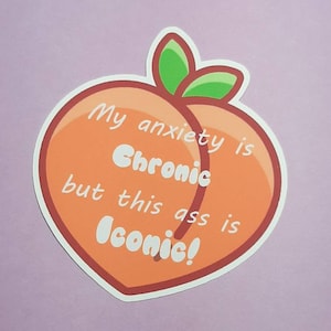 Chronic Illness Stickers, Chronic Pain, Spoonie Gifts, Waterproof Matte Vinyl Stickers for Planners, Craft Supplies, Scrapbooking, Handmade.
