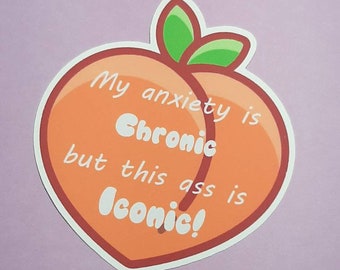 Chronic Illness Stickers, Chronic Pain, Spoonie Gifts, Waterproof Matte Vinyl Stickers for Planners, Craft Supplies, Scrapbooking, Handmade.