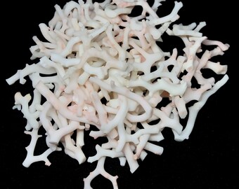 Natural White Coral Sticks: Unpolished Jewelry Making Lot