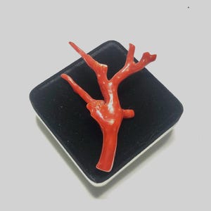 Natural Italian Red Coral Branch: Polished Gemstone Stick, 25.60 Carat
